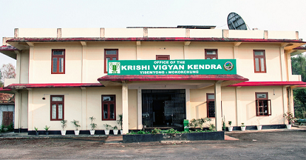 Mokokchung Building